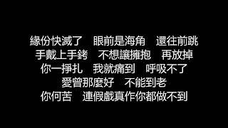 許茹芸 - 愛只剩一秒歌詞版