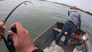 Pesca en el río panuco