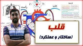 فیزیولوژی قلب ساختار و عملکرد  Heart Physiology