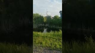 VID 20190626 WA0025