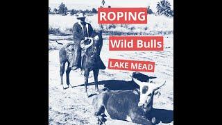 Roping wild bulls at Lake Mead