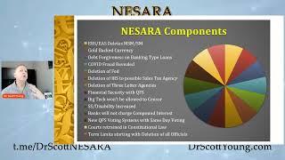 NESARA What are the Basic Components?