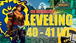 WOTLK Leveling Alliance Guide Paladin 40-41 One hour preparation WoW 4KASMR