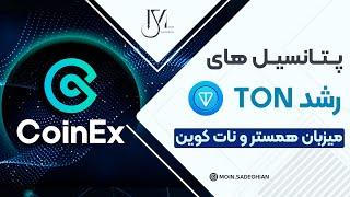 پتانسیل های رشد TON  - میزبان همستر و نات کوین