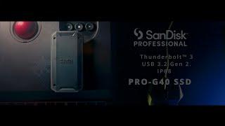 SANDISK PRO G-40