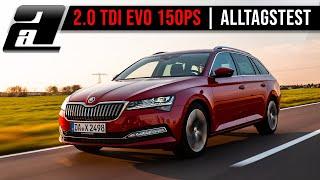 2020 Skoda Superb Style 2.0 TDI EVO  UNTER 5 Liter im Alltag?  REVIEW ALLTAGSTEST