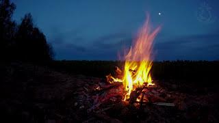  Campfire Ambience with Night Animals such as Owls and Crickets. Made for Relaxation & Sleep Enjoy