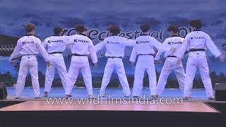 Taekwondo performance by K-Tigers from Korea