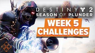 Destiny 2 Season Of Plunder - Week 5 Challenges Guide