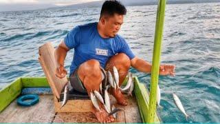 KESERUAN MEMANCING SORE HARI DI DATANGI ROMBONGAN IKAN LAYANG EKOR MERAH