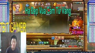 7BIT GAMER  Hạ Đẹp Vua Cảm Tử Vàng