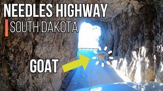 Needles Highway in Custer State Park - South Dakota
