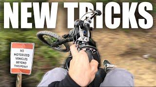 Talaria E-Bike VS MTB Trails?