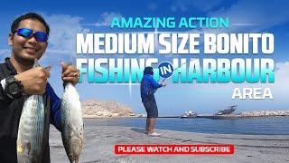 WHERE TO FISH BONITO IN MUSCAT OMAN