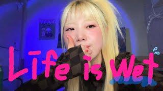 CAMO - Life is Wet cover l BUNNY