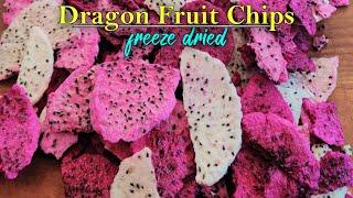 We finally perfected the Dragon Fruit Chip  Freeze Dried Dragon Fruit