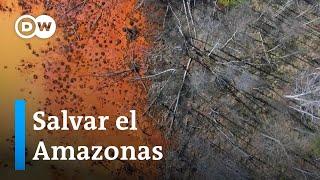¿Podrá Brasil salvar el Amazonas esta vez?