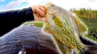 Fishing for Crappie with BEST NEW Jigs