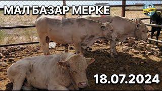 18.07.2024 Ірі қара бағасы  Скотный рынок  Мал базар Мерке 