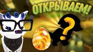 ПОДАРИЛИ яйцо ПАРАЗАУРОЛОФА в Animal Jam  ОТКРЫТИЕ