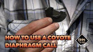 How to Use a Coyote Diaphragm Call  Heirs 101 - Heirs to the Outdoors