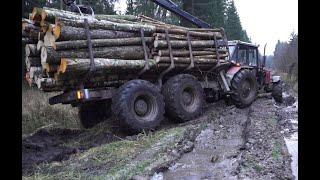 Belarus Mtz 1221.2 with big homemade trailer logging in winter forest slippery conditions