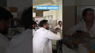 Pathology practical class #shorts #ytshorts #bams #ayurveda #pathology