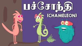 பச்சோந்தி  Why Does Chameleon Changes its Colour?  Dr. Binocs Tamil  Kids Learning Video