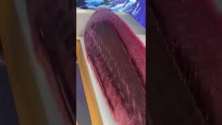 The Chef Cuts a Giant Tuna #shorts #sashimi 