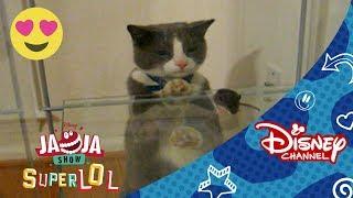 JaJa Show Muy Gatos  Disney Channel Oficial