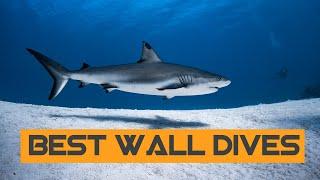 10 Most Impressive Wall Dives