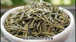 【茶小纯】茶叶过了保质期还能喝吗？今天才明白！好多人都弄错了，快看看