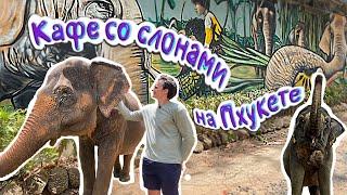 4K Заповедник-кафе со слонами на Пхукете -Phuket Nature Elephant Reserve.