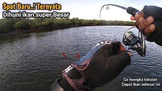 BUJU BUSETT SPOT BARU SUNGAI KECIL & DALAM INI TERNYATA DIHUNI IKAN PREDATOR BABON 