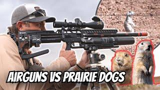 SNIPING PRAIRIE DOGS WITH AIRGUNS