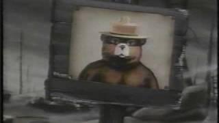 Smokey the Bear forest fire 1980s