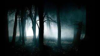 3 Haunted Forest
