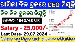 ଓଡ଼ିଶା ବ୍ଲକସ୍ତରୀୟ CEO ନିଯୁକ୍ତି 2024  Odisha Govt Job CEO Recruitment 2024  Govt Jobs in Odisha