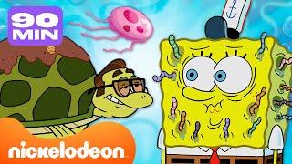 Губка Боб  Все животные в Бикини Боттом  80-минутная подборка  Nickelodeon Cyrillic