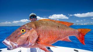 Every Fishermen DREAMS of This Day…Catch Clean Cook Giant Mutton Snapper