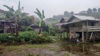 Suasana hujan deras di perkampungan terpencil di hutan