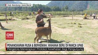 Liburan Seru di Ranca Upas Ciwidey