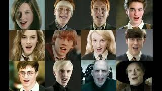 Harry Potter Characters Singing  Numa Numa