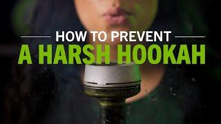 How To Prevent A Harsh Hookah 2021 Version  Fumari