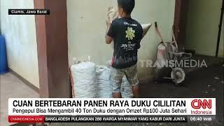 Panen Raya Padi Pencari Sisa Panen Ikut Ketiban Rezeki  REDAKSI PAGI 260424