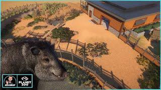 Planet Zoo Collared Peccary Habitat Build