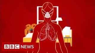 Coronavirus How long does it take to recover? - BBC News