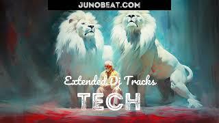 junoBeat TECH 2023-06-19