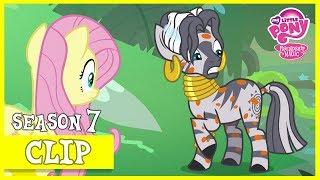 Zecora Gets The Swamp Fever A Health of Information  MLP FiM HD