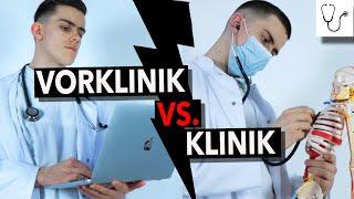 Wird das Medizinstudium mit der Zeit SCHWERER? Vorklinik vs. Klinik